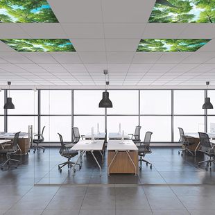 Amazon cross-border hot selling fluorescent lamp magnetic lampshade source factory shading eye protection lampshade forest