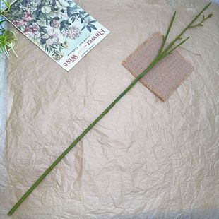 3��12Ŀõ��֦65cm����ֲ��������滨֦ĵ��õ����ʾջ��U����