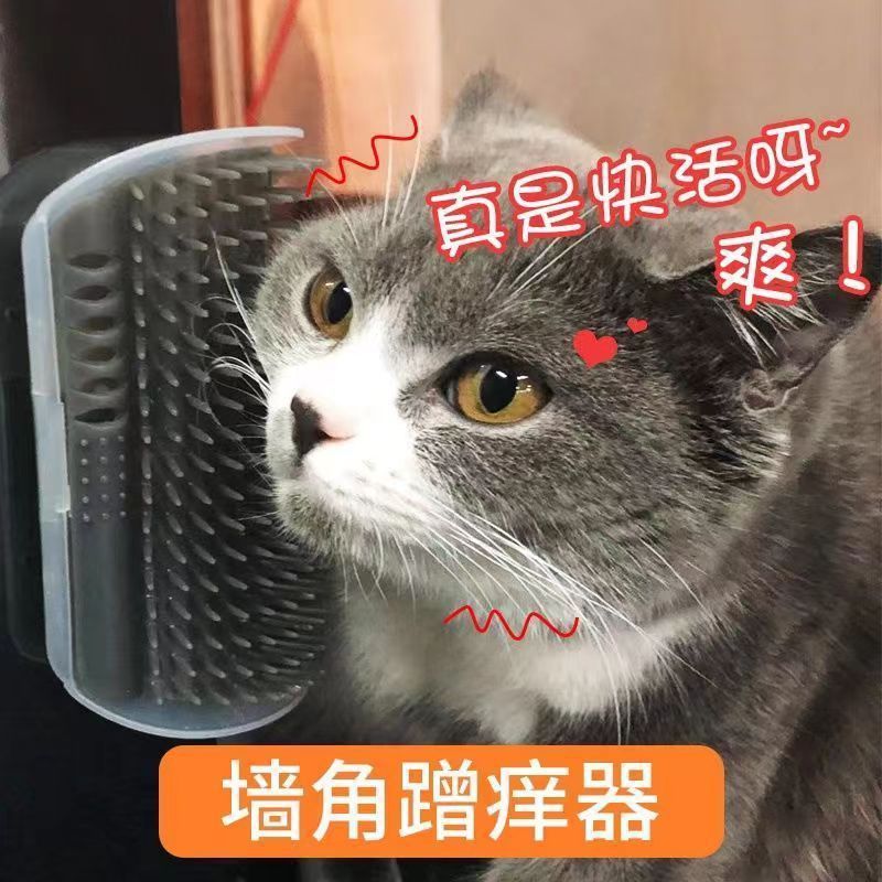 国境を越えた猫のかゆみ器の壁の隅に毛をこすって顔をこすってマッサージします。|undefined