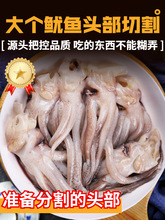鱿鱼须鲜活冷冻二本足新鲜章鱼生鲜尤鱼铁板鱿鱼串腿海鲜商用批发
