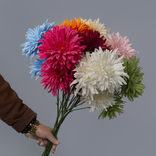 SֱNcջٻĽûYõ·廨