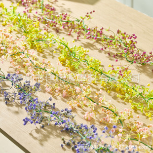 늾¶ڳٗlL⏲ҾӾGֲcڒb@쾰