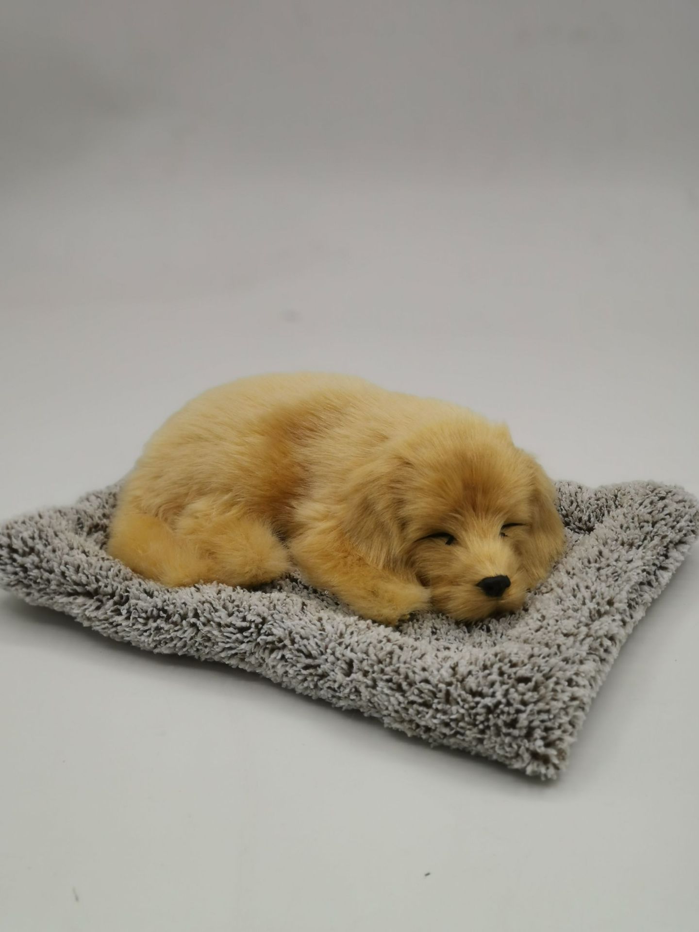 Perro de salchicha grande entrega peludos