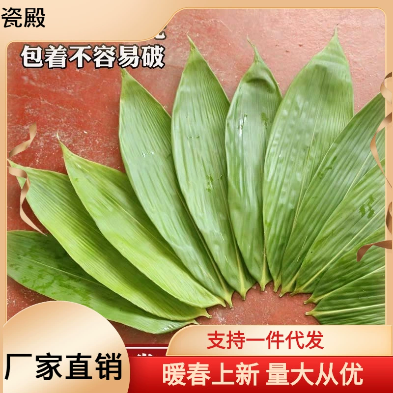 Рongye Baozi Zongzi Свежие крупные средства мебели листовые перчатки Grassless большие листья bald leaf оптовые
