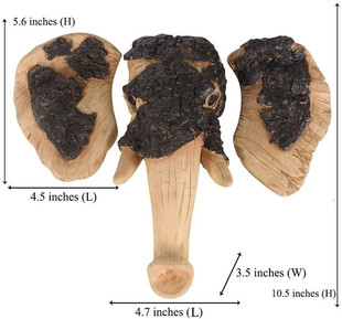 ���b�Ę����Scuplture���󻨈@���⻨�@�b�֬����