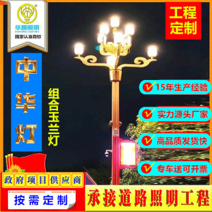 Huateng Yulan Light Municipal Square Landscape Light 8/12 m Scenic Area led Outdoor Light Project Road Chinese Street Light