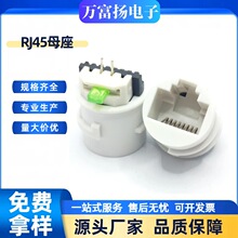 RJ45�B�����A�Ύ��G����ź���8P8C��ɫȫ�ܷ�ˮ�����W�ڲ���