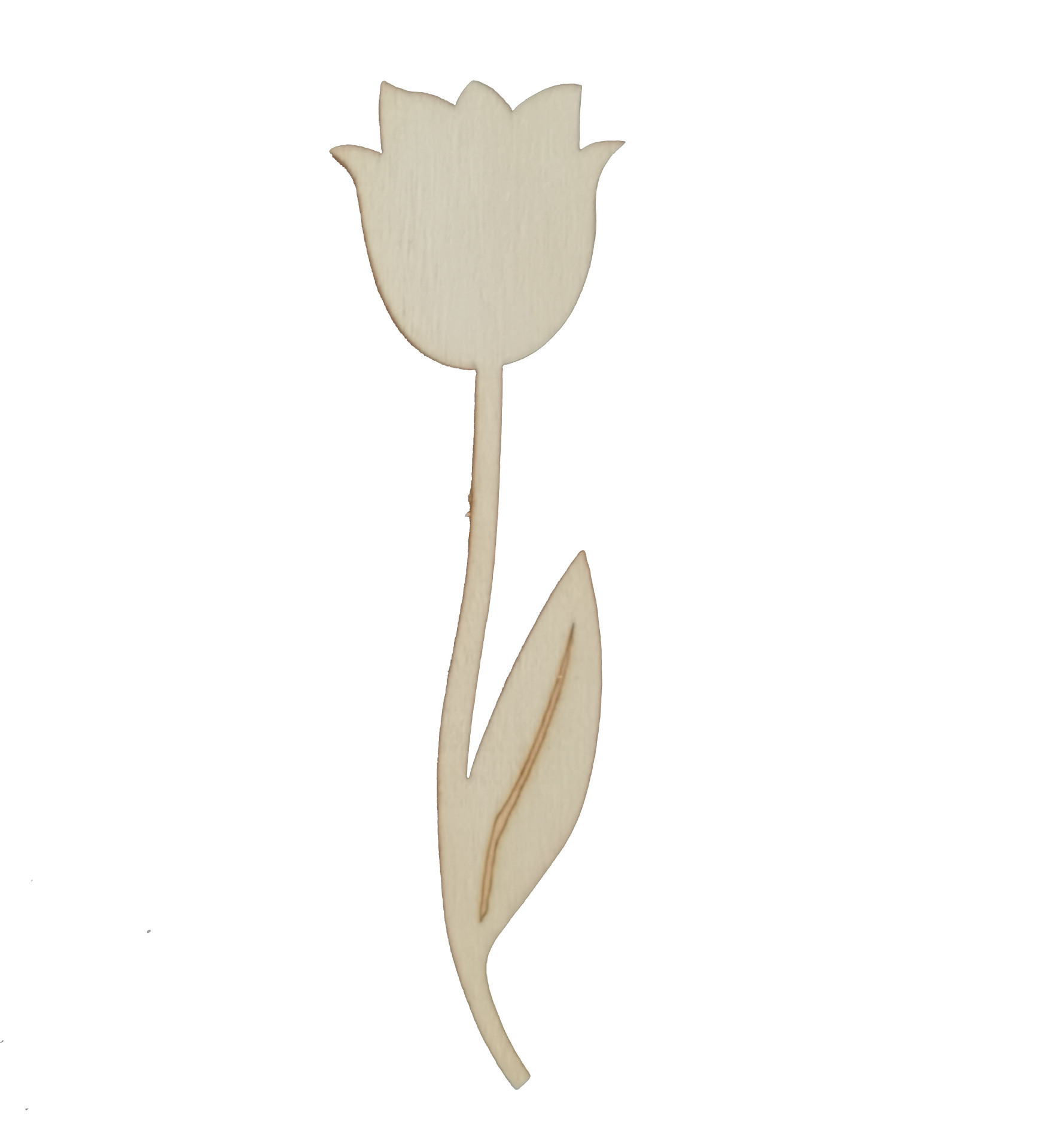 IMG_20220625_151046(1)