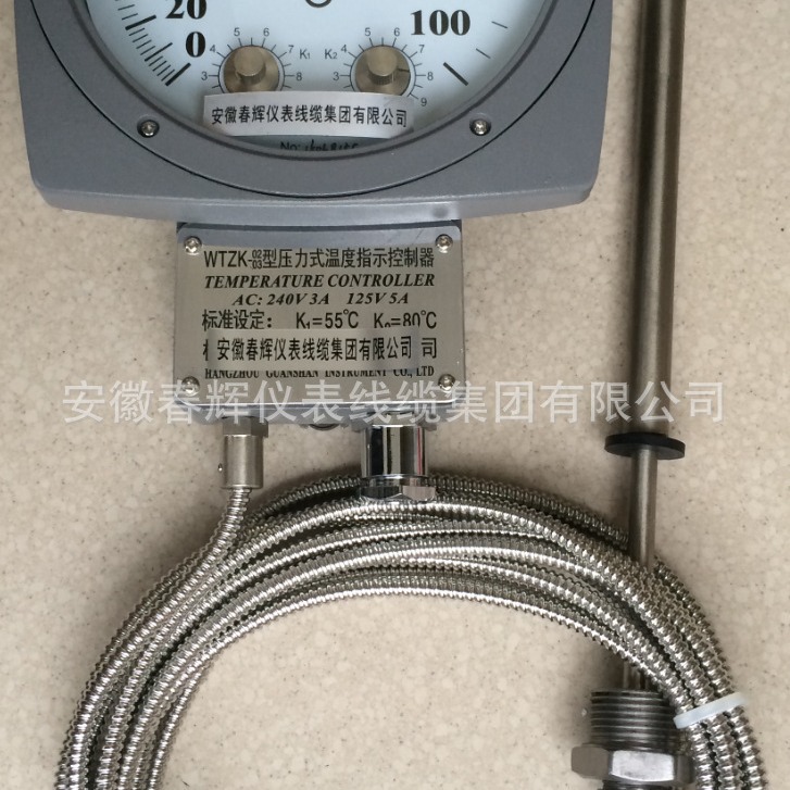 WTZK-02温度控制器供应
