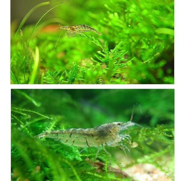 d88f5b85-067c-4696-ba68-02250275a569.jpe