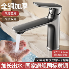 闰西尔冷热水龙头酒店公寓款龙头多颜色可选择源头厂家直供可跨境