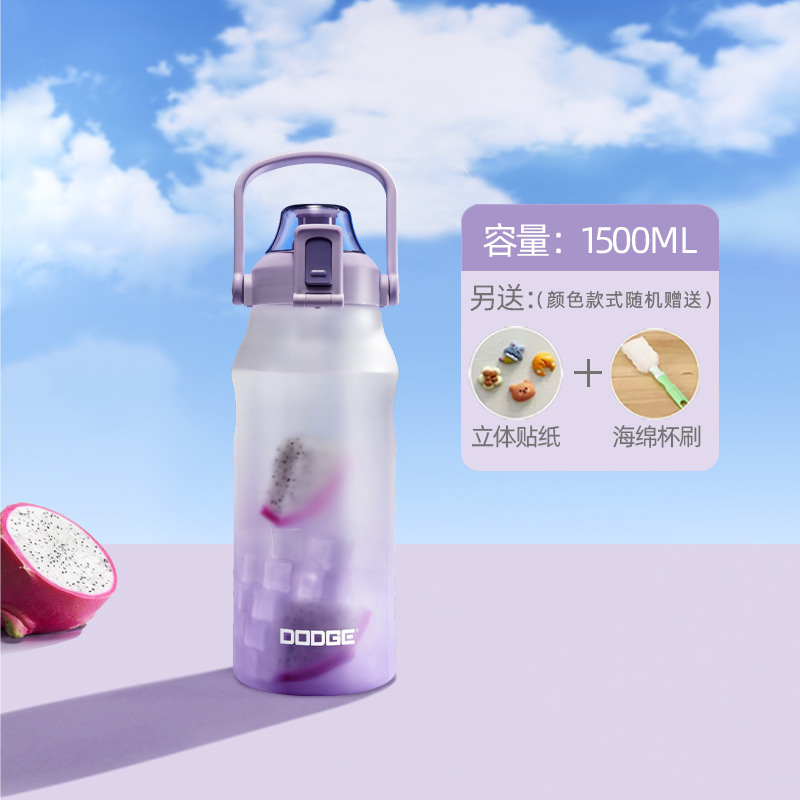 2025新款水杯大容量便携磨砂塑料杯子儿童吸管耐高温学生运动中式|undefined