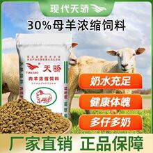 FĸsĸÑĸaĸBֳÏSֱN