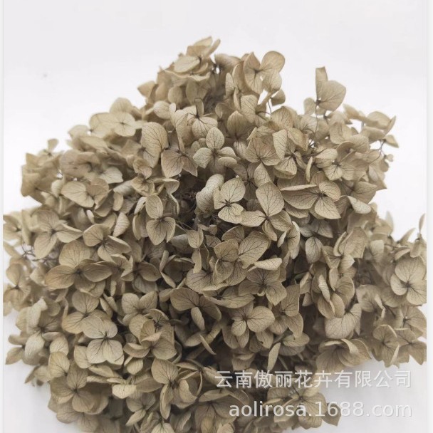 Grado A Anna Hortensia flor permanente flor seca Hortensia de hoja pequeña 20g Hortensia en caja fábrica al por mayor MATERIAL DE FLOR DE San Valentín