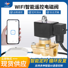 无线WIFI智能远程遥控电磁阀电控阀水阀铜阀220V24电子水管开关阀