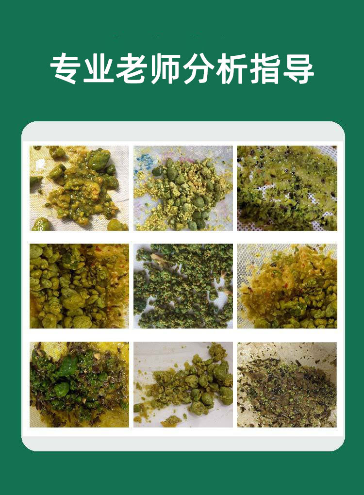 Taiwan-Style Fruit & Vegetable Enzyme Powder & Drink Kit — Fermented Botanical Blend for Daily Wellness quality and texture