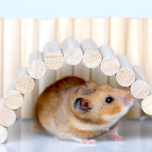 Hamster landscape long ladder fence swing soft walkway climbing suspended arch log golden hamster isolation toy versatile platform