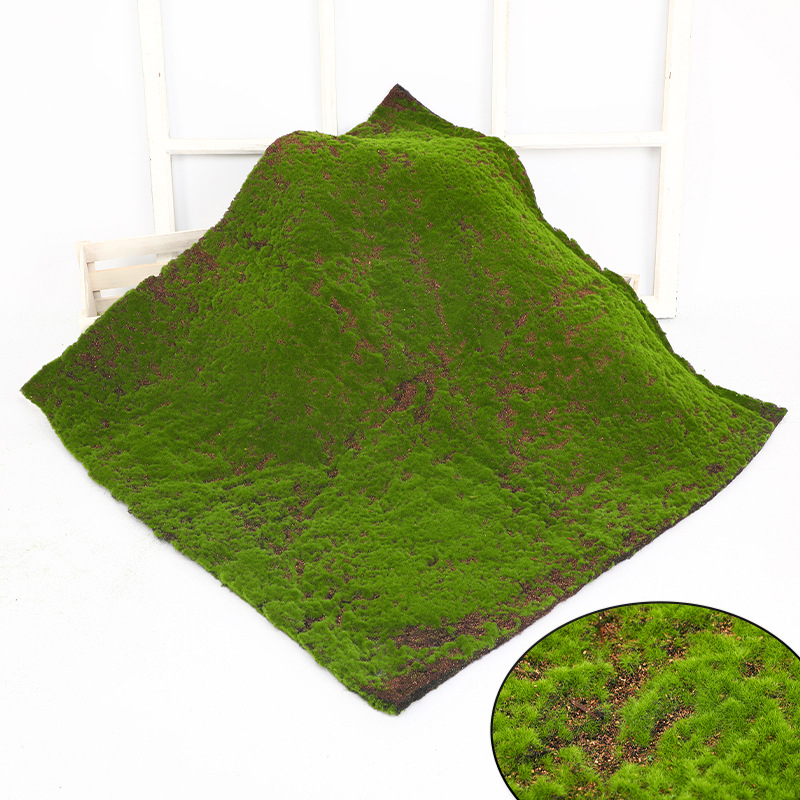 Coral, 3D