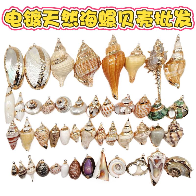 Natural Sea Shell Pendants with Electroplated Edges for DIY Jewelry Accessories, Earrings, Necklaces, Shell Charms, Bracelets