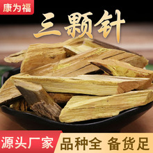 ���w� �ᘴ� ���S�B ��ș�����w� ����� ���N�䱳 500��/��