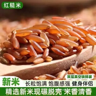 �t���׼t��С���b����s�Z����F�����Ӳ��������׾����㌣��