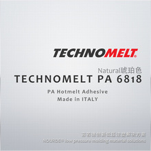 hTECHNOMELT PA 6818 ɫz