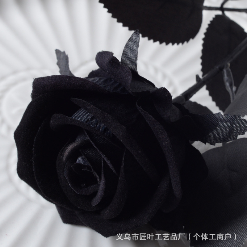 스몰 벨벳 올블랙