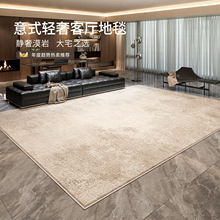 地毯客厅意式轻奢免洗可擦现代沙发茶几地垫大面积卧室床边毯家用