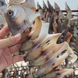 �K�~�� չ�� �ؔ� ��� ���K�~�� �����K�~ ���K�~ ���K �K�~�l��