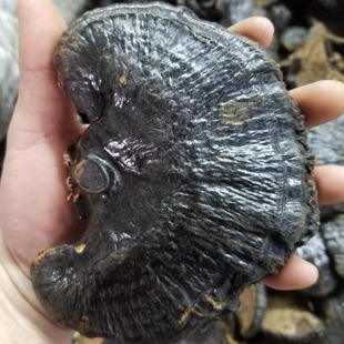 �󂀺��`֥���l250g��֥�ݾ��`֥���ӷ��`֥Ƭ��֥���`֥