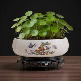 水仙花盆陶瓷大号家用碗莲专用花盆铜钱草一叶莲水培器皿睡莲盆缸