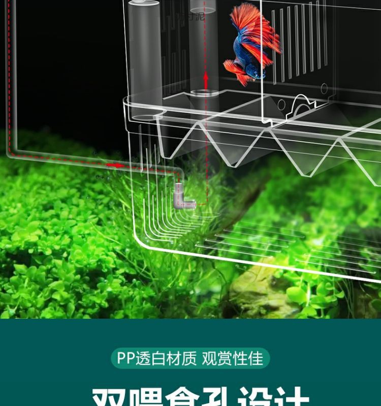 b86c3e03-d3ec-484b-a5bd-eb2856636433.jpe