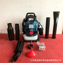 �F؛������������ɭ�������L������� �߲˴����·���L��ѩ�C