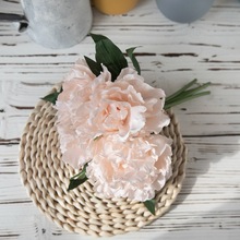 ���滨���� ĵ����ܽ����������ó �ٻ�����������������GF13823
