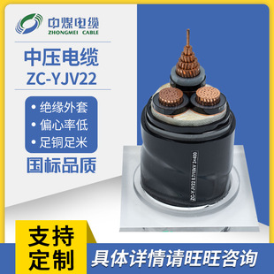 �Љ��~о��|����ϩ���W���������| 8.7/15KV ZC-YJV22��|�S��