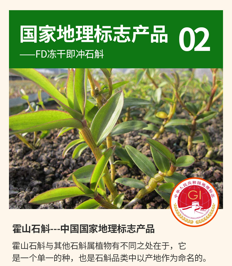 Freeze-Dried Shi Hu (Dendrobium officinale) Instant Drink — Huoshan Dendrobium Extract Gift Box specifications