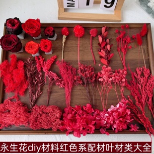 �tɫ����ֲ��ɻ�diy��ָ�����������˹��Y�����նY���������b�