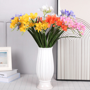 �ļ�����2����ѩ�m�Sβ�m�ٻ���c�[���b� ���Q��ѩ�m���滨