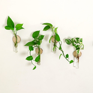 Creative hydroponic test tube wall wall home decoration wall glass plant vase wall decoration flower arrangement green rose pendant