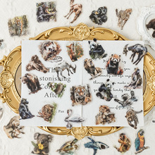 ��Ʒ50����������PET͸����ˮ�N��DIY����ˮ���֙C�����䄓�����~