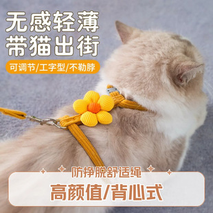 Pet Going Out Traction Rope Small Dog Traction Rope M Anti-break Free High Color Value Vacation Cat and Dog Walking P Chain