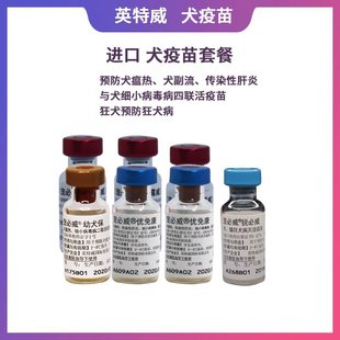 Ӣ������Ȯ������Ȯ�����𱶰�Ȯ�������A����СȮ��28��ɴ�