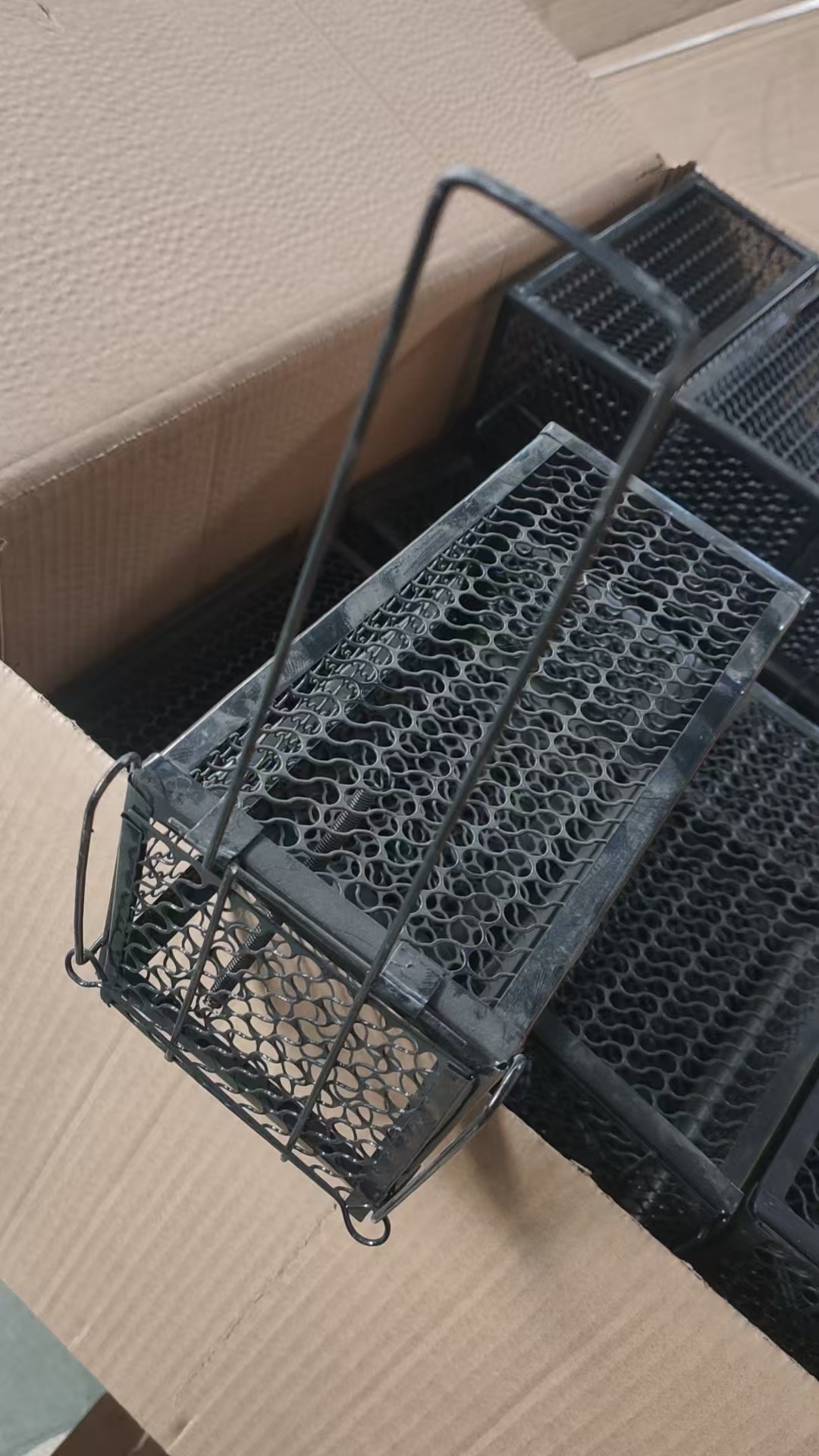 微信图片_20250706114135