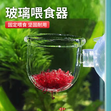 ����ιʳ�� ��Ʒ�������x�� �����~�t�x��ϱ� �r���쾰�׾��x�~