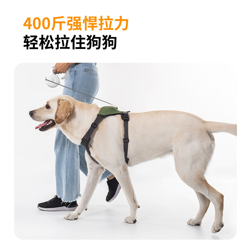 跨境宠物狗狗牵引绳自动伸缩牵狗器泰迪比熊柯基金毛户外遛狗|undefined