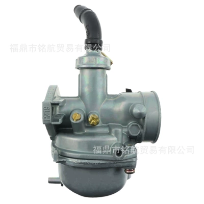 PZ19 carburetor For Other starting systems