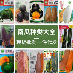 ���l�Ϲϸ�N���׷Nֲ�ļ��߲˷N���r��ˈ@�����ʳ���m������