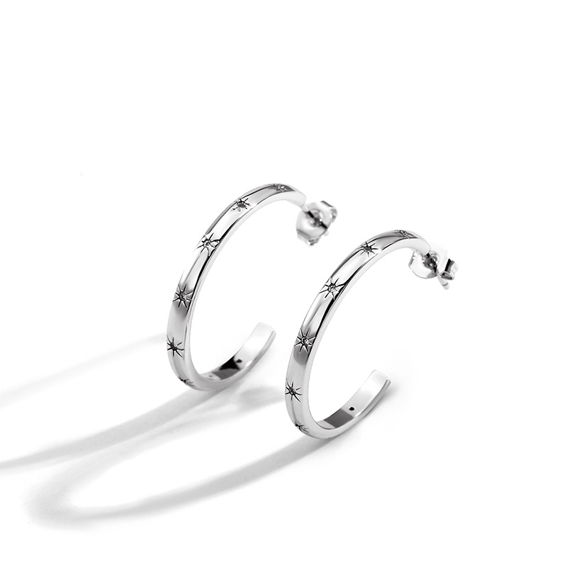 Platinum earrings
