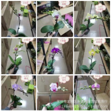 ����ֱ�N���l/�����m�������m�������ԾGֲ���^���辰2.8��С�Ժ�