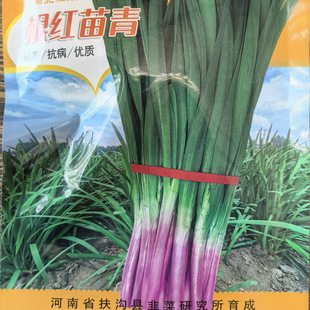 ��Ʒ�t�o�²˷N�Ӹ��t������ζ���Ќ��~�̨�����B�m�ո�߮a�²�